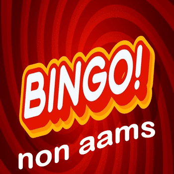 bingo non aams